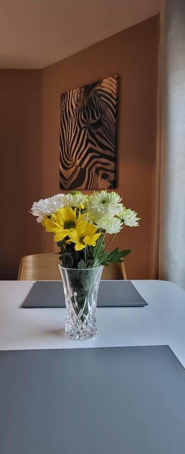 Cosy Stays Daybrook نوتينغهام المظهر الخارجي الصورة